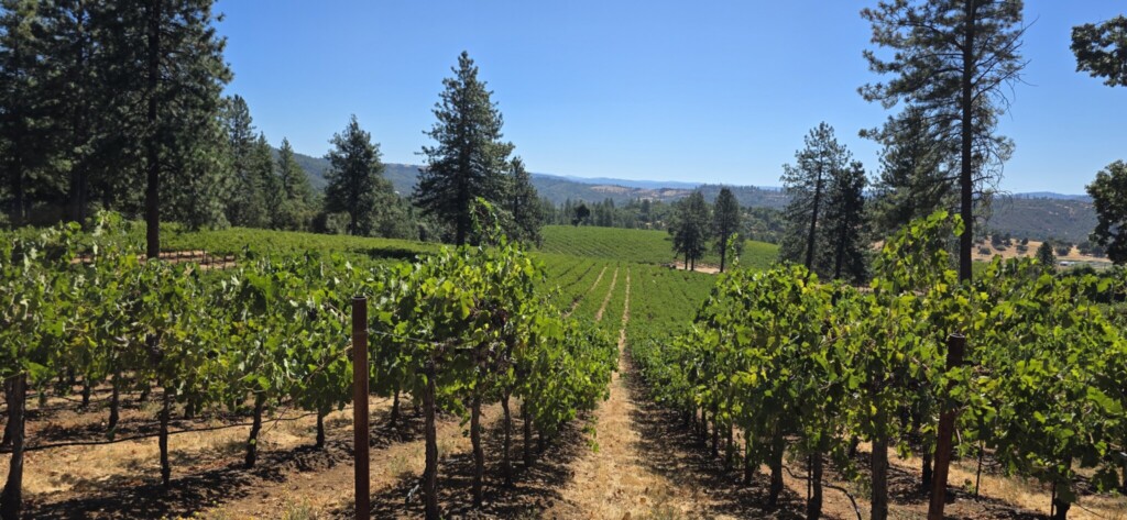 Murphys Wine Country