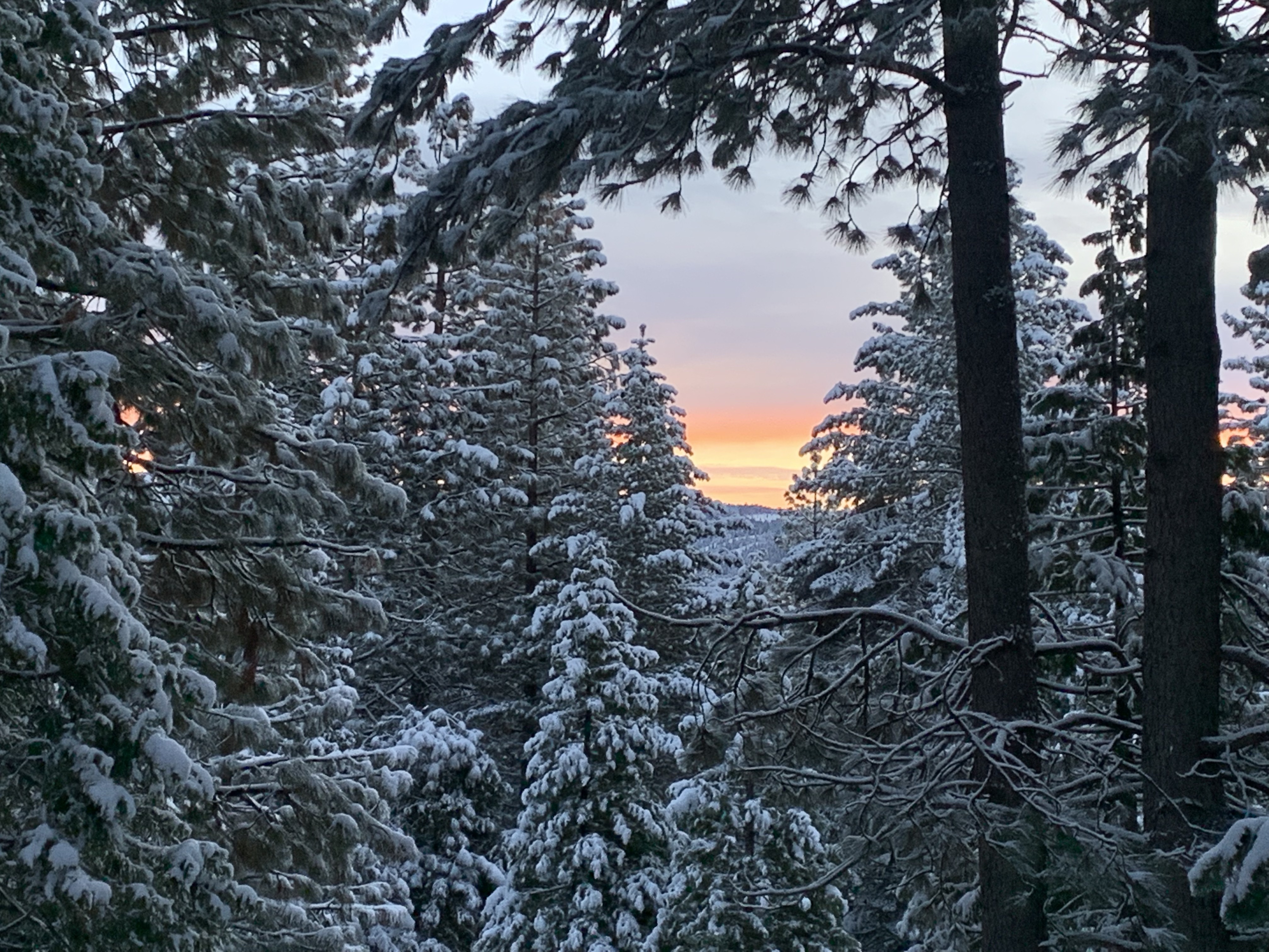 View from Deck